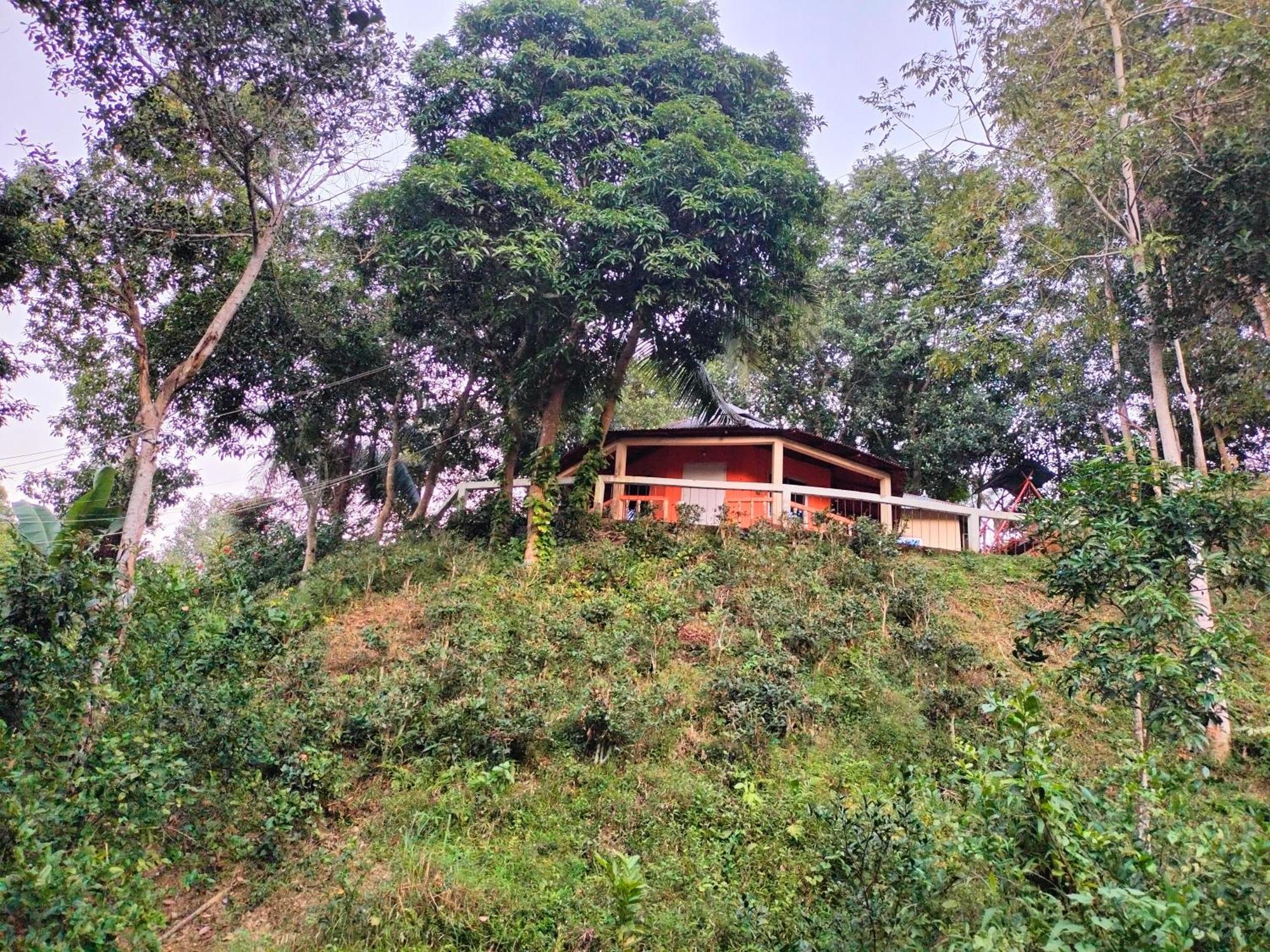 Jungle Cottage Sreemangal Room photo